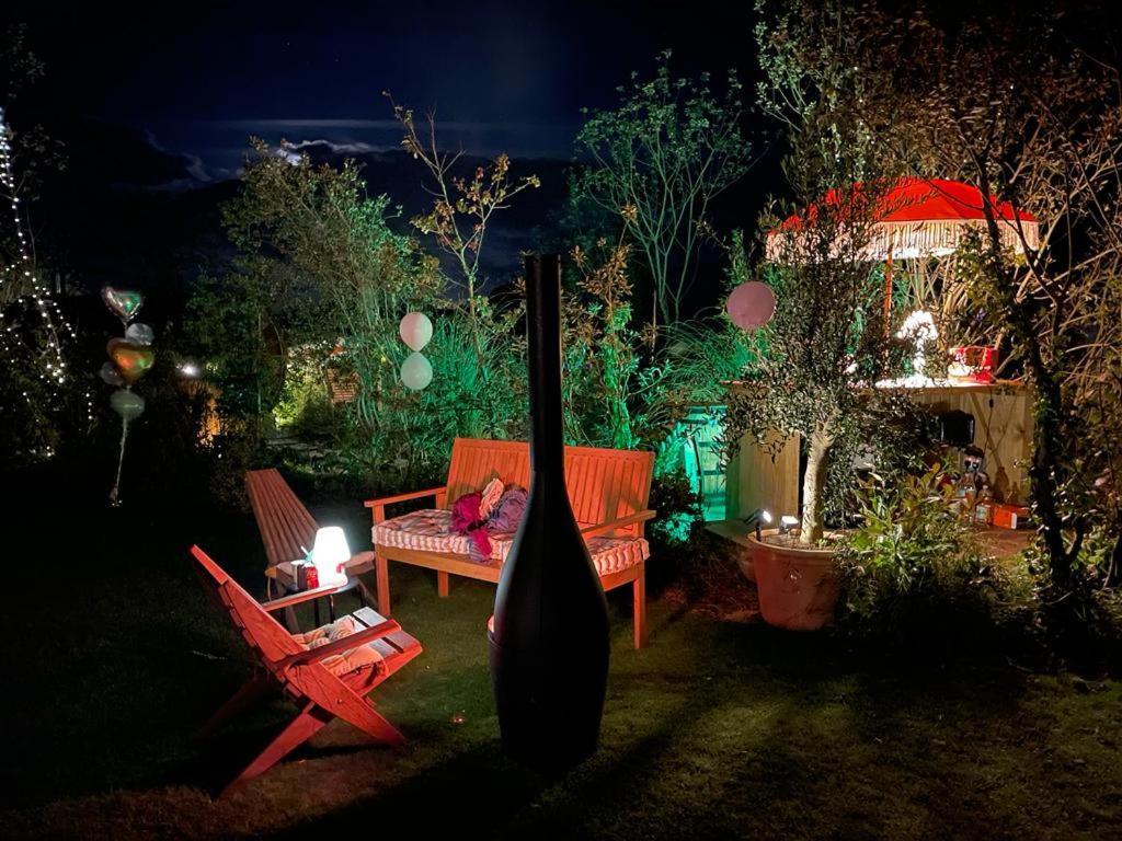Dragonfly Glamping Spa Retreat Ashford  Kültér fotó