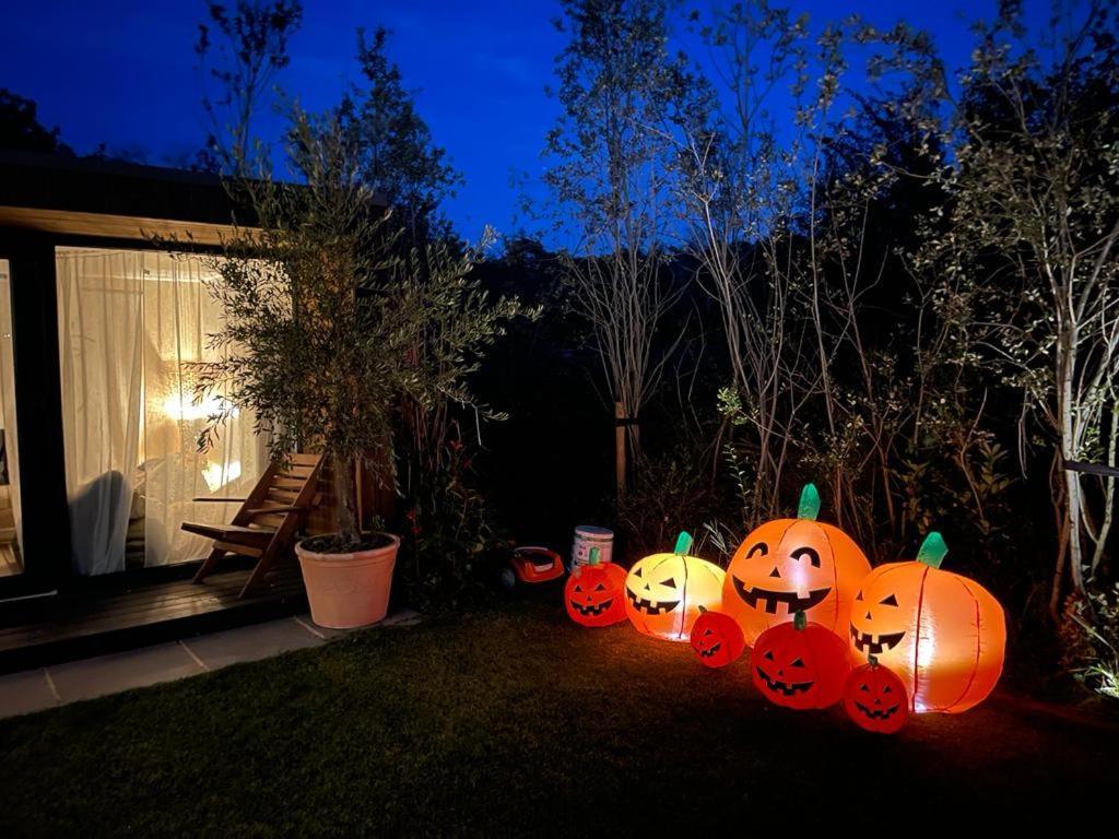 Dragonfly Glamping Spa Retreat Ashford  Kültér fotó
